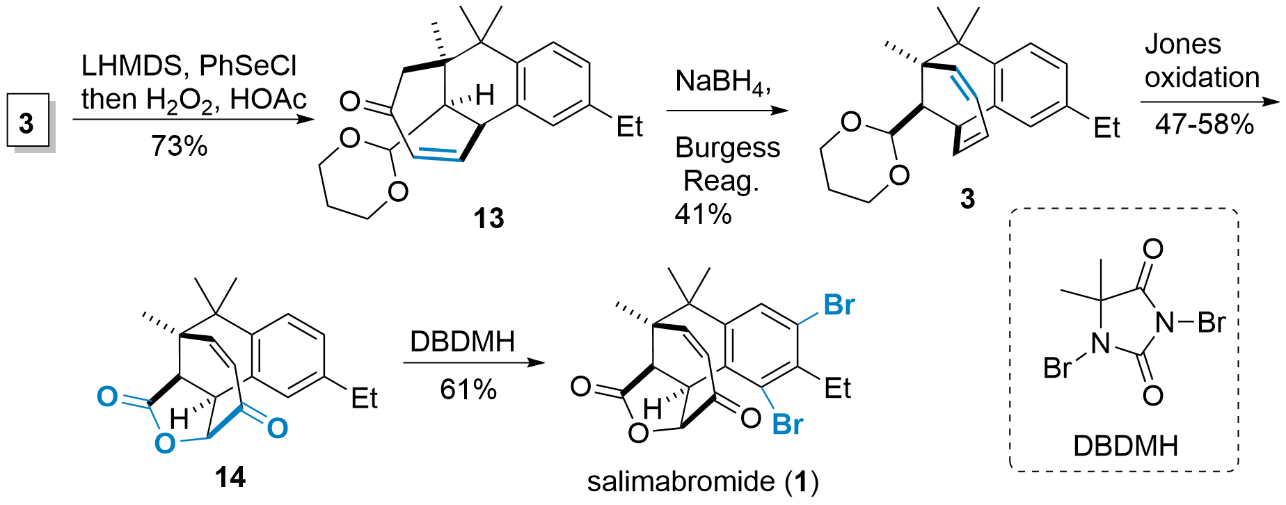salimabromide-3.png